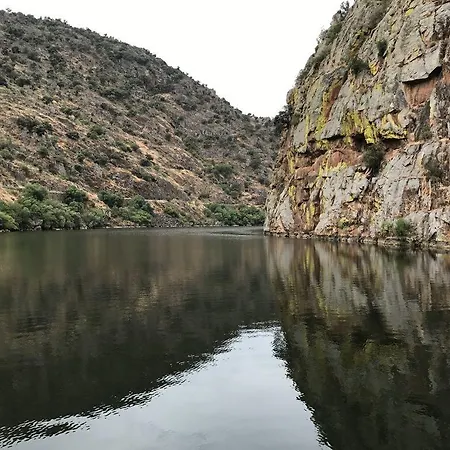 Tour&boats - Raina Douro بوتيل